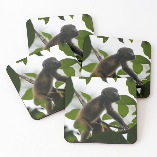 Item preview, Baby Howler Monkey Jungle Wildlife Photography Costa Rica Rainforest designed and sold by WildFrameNature.