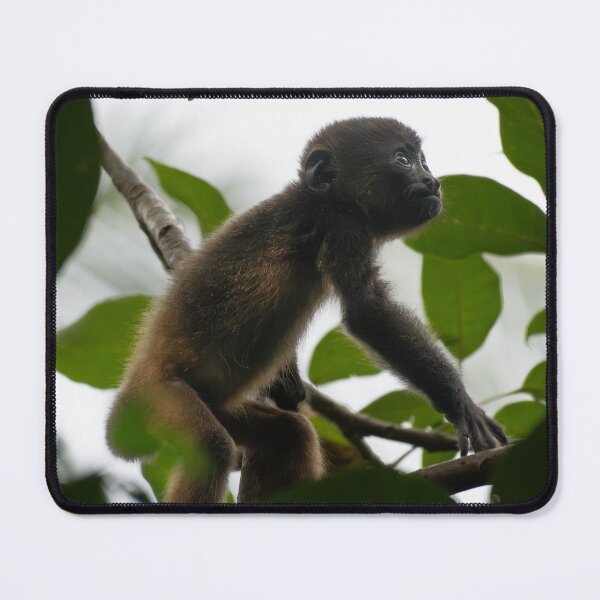 Item preview, Baby Howler Monkey Jungle Wildlife Photography Costa Rica Rainforest designed and sold by WildFrameNature.