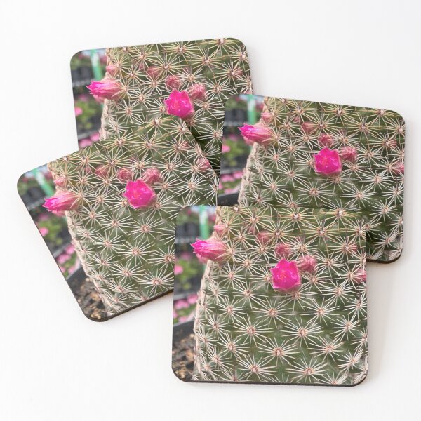 Item preview, Cactus Spirals designed and sold by Betsy Phillips.