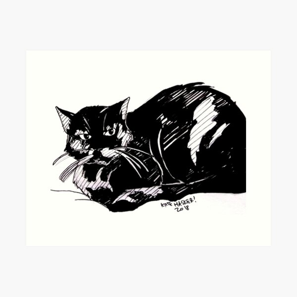 Angry Cat Drawings for Sale - Fine Art America