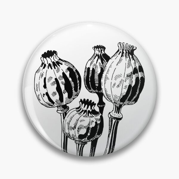 Item preview, Dried poppies designed and sold by Ink & Silence by Loraaart.