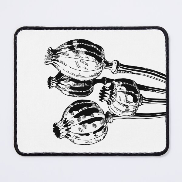 Item preview, Dried poppies designed and sold by Ink & Silence by Loraaart.