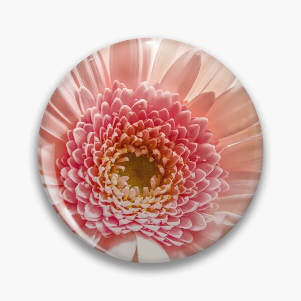 Item preview, Soft Pastel Pink Gerbera Daisy designed and sold by ShotsbyDesiree.
