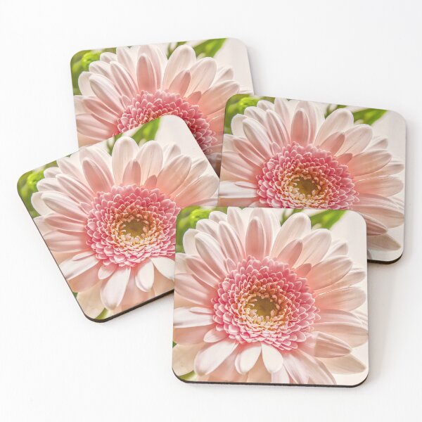 Item preview, Soft Pastel Pink Gerbera Daisy designed and sold by ShotsbyDesiree.