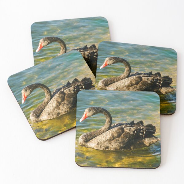 Item preview, Black Swan, Perth, Western Australia designed and sold by Ross.A.Campbell.