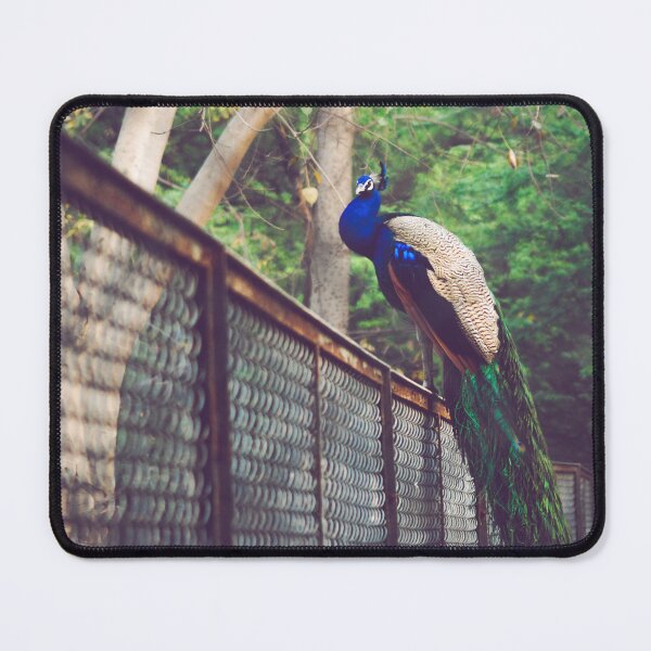 Item preview, Peacock - Twilight designed and sold by Neha Gupta.