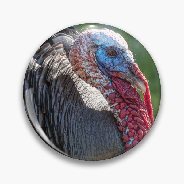 Item preview, Rio Grande Valley Wild Tom Turkey designed and sold by Debra Martz.
