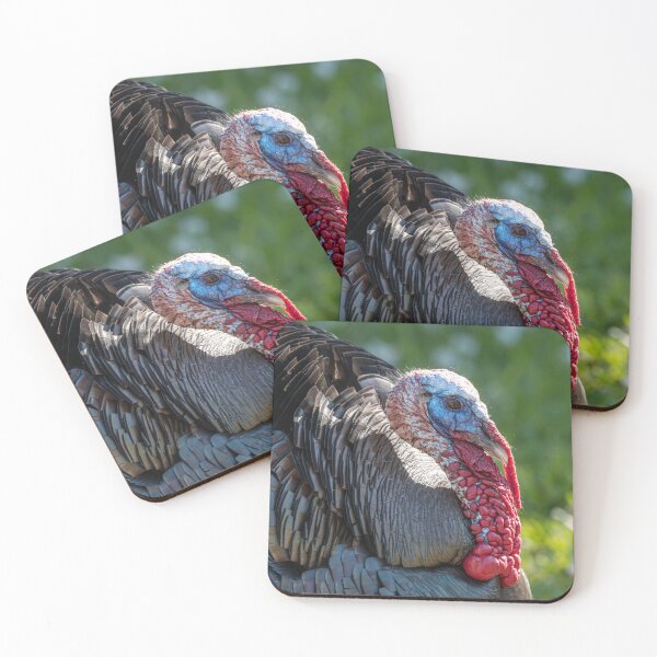 Item preview, Rio Grande Valley Wild Tom Turkey designed and sold by Debra Martz.