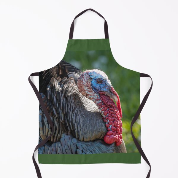 Item preview, Rio Grande Valley Wild Tom Turkey designed and sold by Debra Martz.