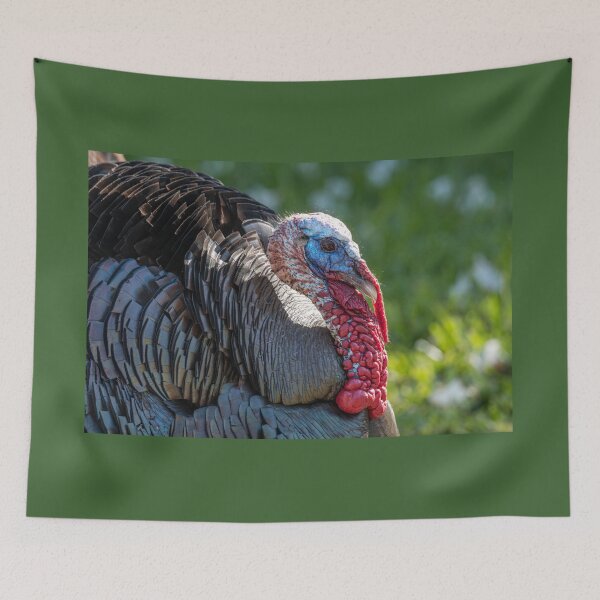 Item preview, Rio Grande Valley Wild Tom Turkey designed and sold by Debra Martz.