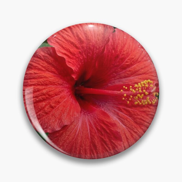 Item preview, Red hibiscus flower. designed and sold by Malisa345.