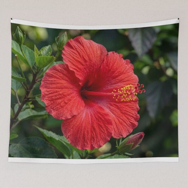 Item preview, Flor de hibisco roja. designed and sold by Malisa345.