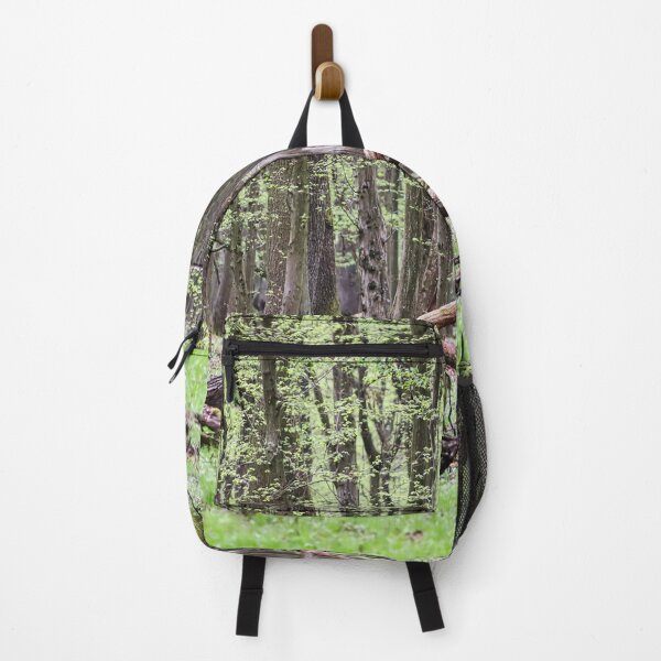 Item preview, Forest landscape in early spring. designed and sold by NaturePhotography.
