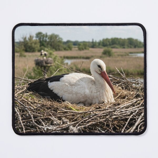 Item preview, Stork incubating in its nest. designed and sold by Malisa345.