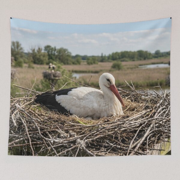 Item preview, Stork incubating in its nest. designed and sold by Malisa345.
