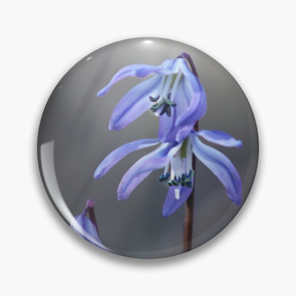 Item preview, Siberian Squill Spring Flower — Nature Photography designed and sold by Viddas Lens.