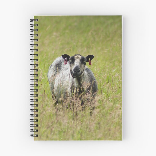 Item preview, Punk Sheep designed and sold by andyroberts64.