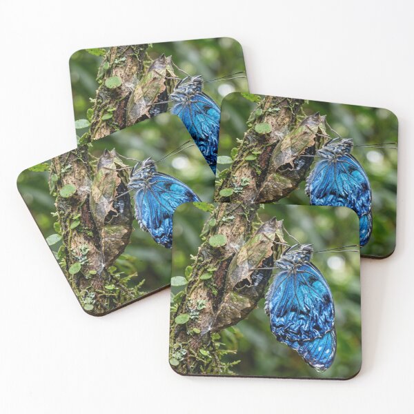 Item preview, Blue butterfly emerging from its chrysalis. designed and sold by Malisa345.