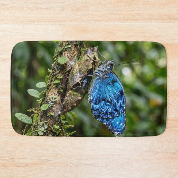 Item preview, Blue butterfly emerging from its chrysalis. designed and sold by Malisa345.