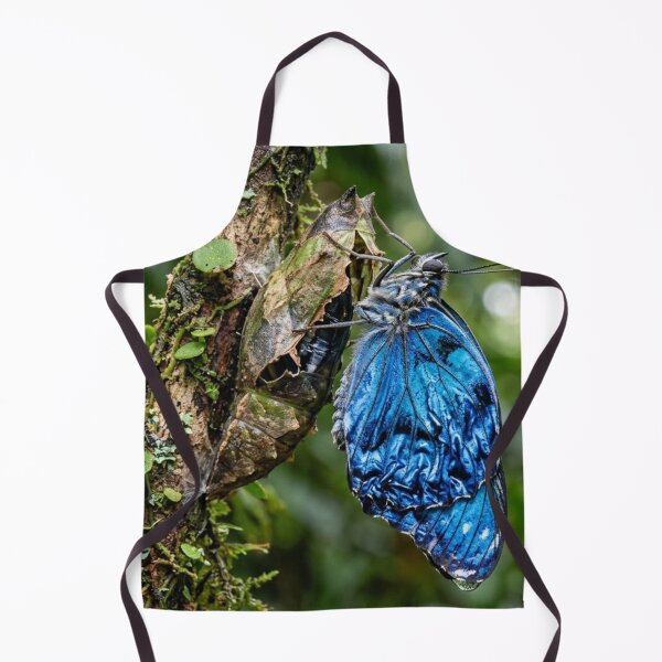 Item preview, Blue butterfly emerging from its chrysalis. designed and sold by Malisa345.