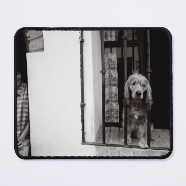 Item preview, A Dogs Life in Mexico designed and sold by Wayne King.