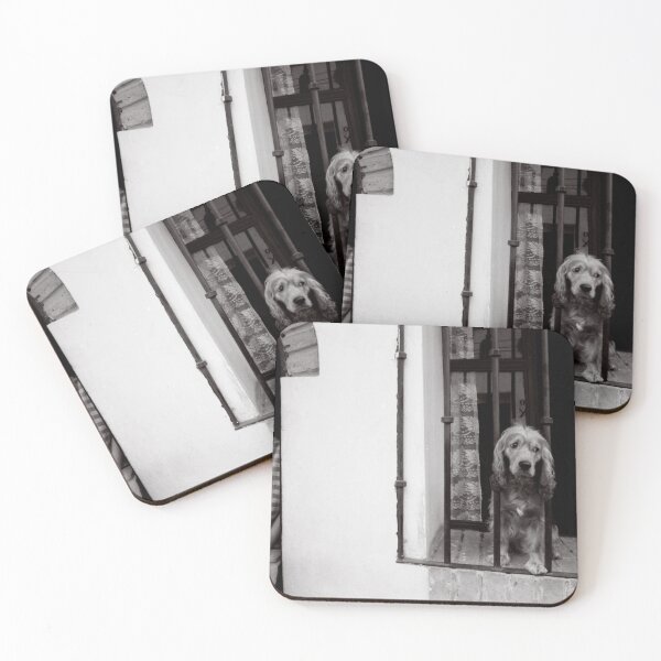 Item preview, A Dogs Life in Mexico designed and sold by Wayne King.