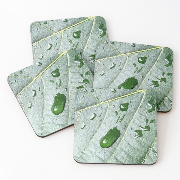 Item preview, Drops on a leaf, REAL photograph designed and sold by GiSilver.