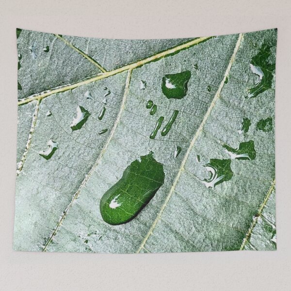 Item preview, Drops on a leaf, REAL photograph designed and sold by GiSilver.