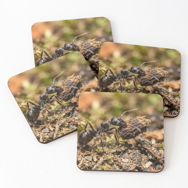Item preview, Ant carrying a load. designed and sold by Malisa345.