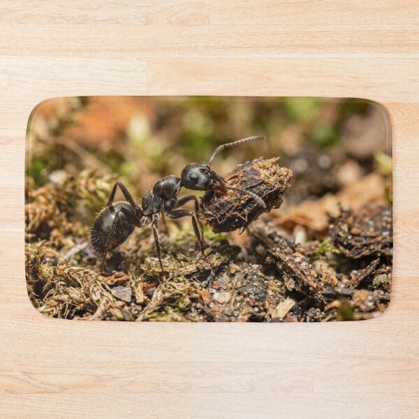 Item preview, Ant carrying a load. designed and sold by Malisa345.