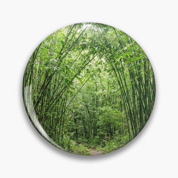 Item preview, Bamboo field seen from the inside. designed and sold by Malisa345.