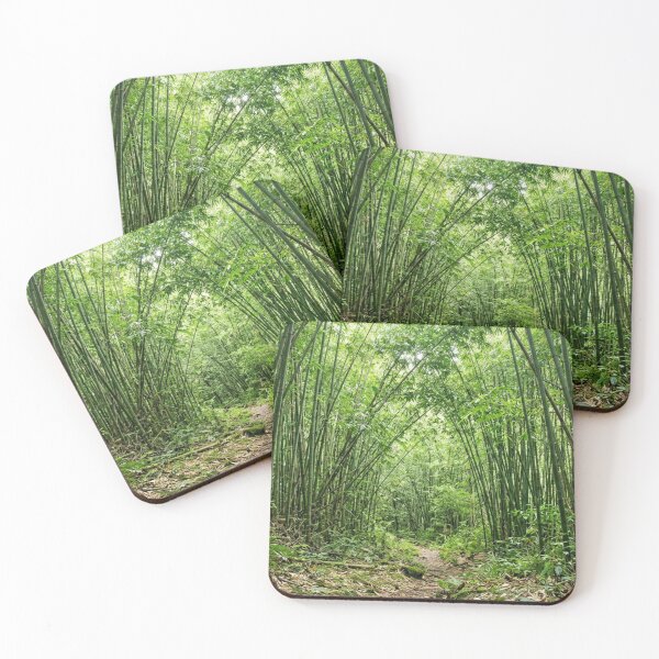 Item preview, Bamboo field seen from the inside. designed and sold by Malisa345.