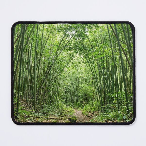 Item preview, Bamboo field seen from the inside. designed and sold by Malisa345.