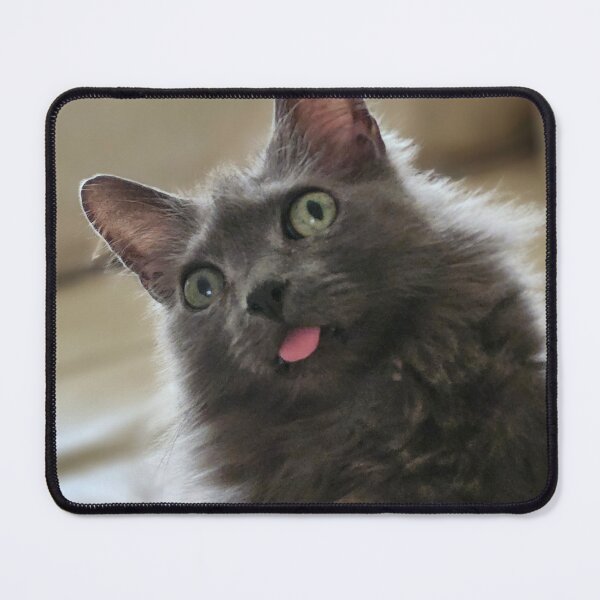 Item preview, cute sassy cat designed and sold by BeardedFireworm.