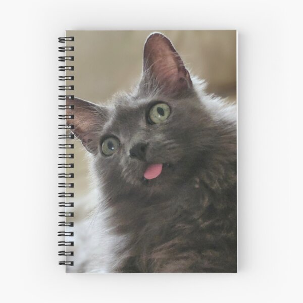 Item preview, cute sassy cat designed and sold by BeardedFireworm.