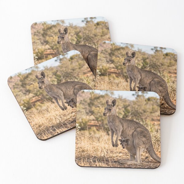 Item preview, Baby kangaroo in its mother's pouch. designed and sold by Malisa345.