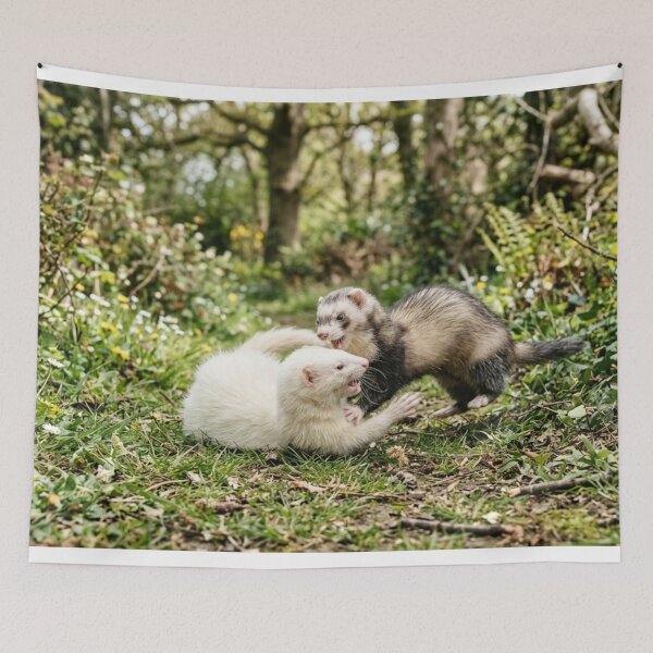 Item preview, Ferrets playing outdoors. designed and sold by Malisa345.