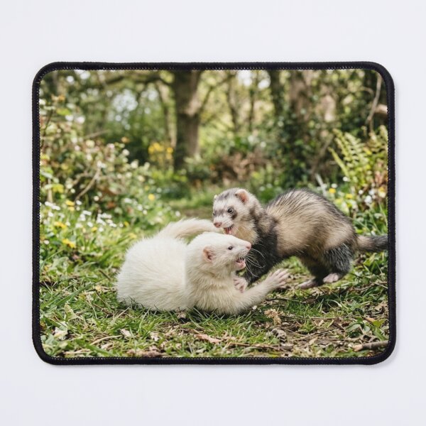 Item preview, Ferrets playing outdoors. designed and sold by Malisa345.