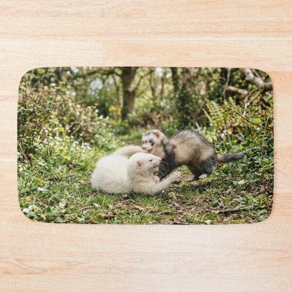 Item preview, Ferrets playing outdoors. designed and sold by Malisa345.