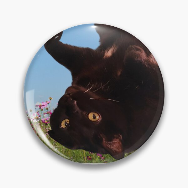 Item preview, Obi Cat Loves to Frolic designed and sold by BeardedFireworm.
