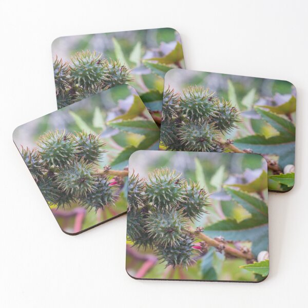 Item preview, Close-Up of Spiky Green Castor Bean Seed Pods on Castor Plant With Palmate Leaves designed and sold by Nmallia.