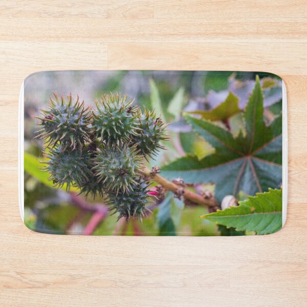 Item preview, Close-Up of Spiky Green Castor Bean Seed Pods on Castor Plant With Palmate Leaves designed and sold by Nmallia.