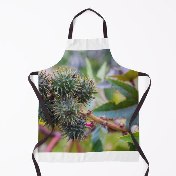Item preview, Close-Up of Spiky Green Castor Bean Seed Pods on Castor Plant With Palmate Leaves designed and sold by Nmallia.