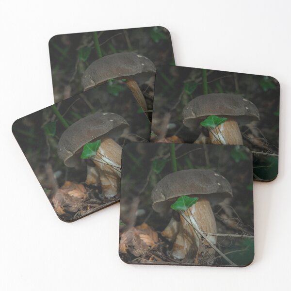 Item preview, Porcini mushroom designed and sold by @Mirettes_et_gambettes.