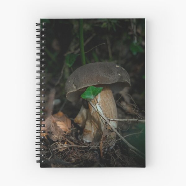 Item preview, Porcini mushroom designed and sold by @Mirettes_et_gambettes.