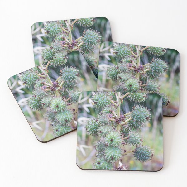 Item preview, Close-Up of Spiky Green Castor Bean Seed Pods on Castor Plant With Palmate Leaves designed and sold by Nmallia.