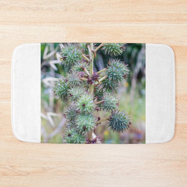 Item preview, Close-Up of Spiky Green Castor Bean Seed Pods on Castor Plant With Palmate Leaves designed and sold by Nmallia.