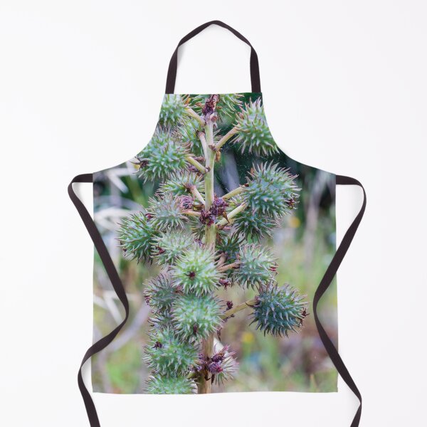 Item preview, Close-Up of Spiky Green Castor Bean Seed Pods on Castor Plant With Palmate Leaves designed and sold by Nmallia.