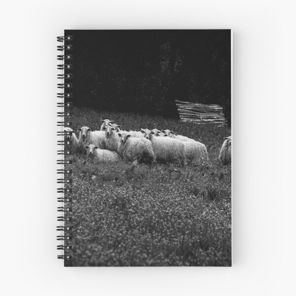 Item preview, Flock of sheep in the Basque Country designed and sold by @Mirettes_et_gambettes.