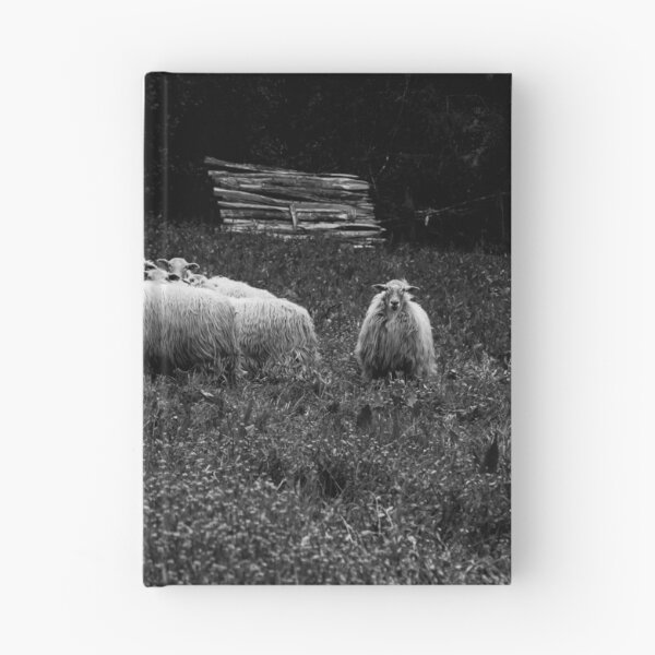 Item preview, Flock of sheep in the Basque Country designed and sold by @Mirettes_et_gambettes.